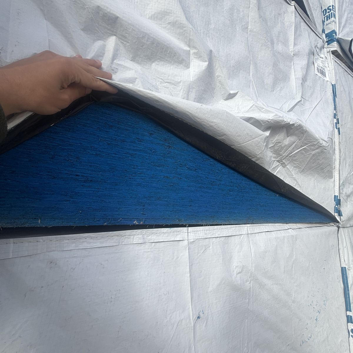 19/32 inch 4x8 OSB sheathing showing blue moisture seal along bunk sides